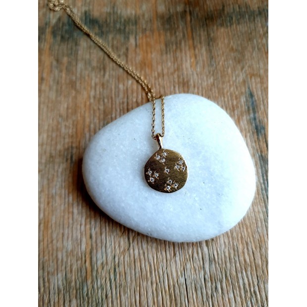 Hanka IN kaklo papuošalas su cirkonio medalionu 